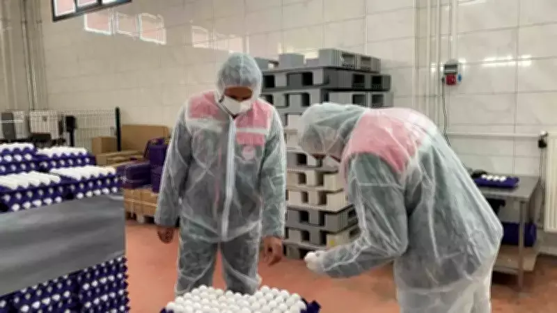 Gıda Denetimlerinde Yumurta Ürünlerinden Numune Alındı, Analiz Sonuçları Bekleniyor