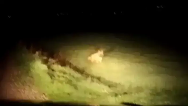 Gece Yarısı Ortaya Çıkan Gizemli Nesne Bir Anda Gözden Kayboldu