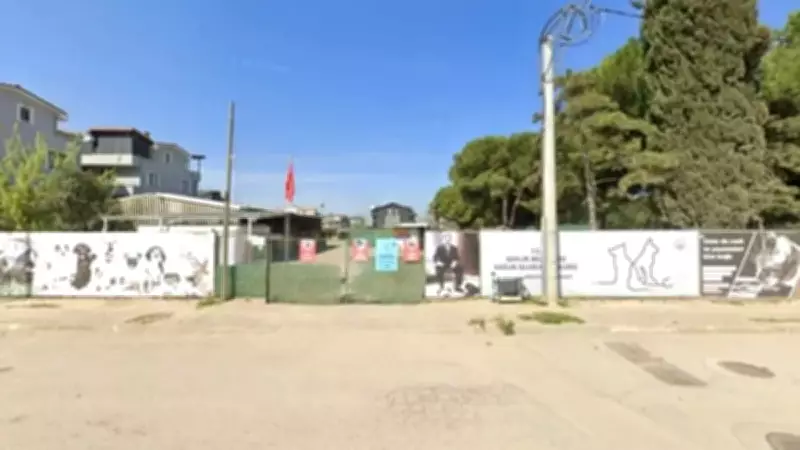 Gemlik'teki Barınakta Yeni Skandal: Köpek Çığlıkları ve Çöp Kamyonu İddiaları