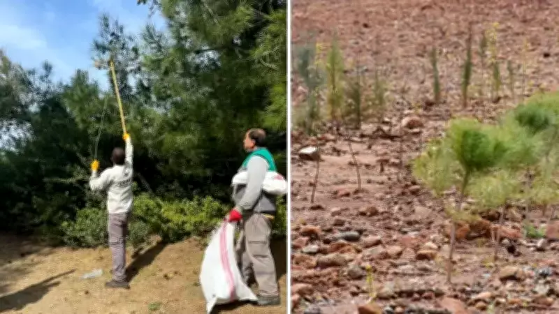 GETOB Ormanı Ağaçlandırma Etkinliği İle Yangın Bölgesi Yeniden Yeşillendiriliyor