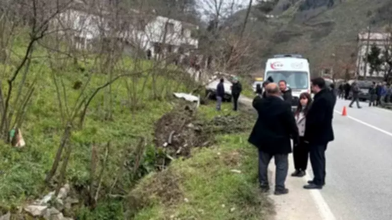 Giresun'da Trafik Kazası: Köpekten Kaçan Pikap, Yayaya Çarptı, 1 Ölü