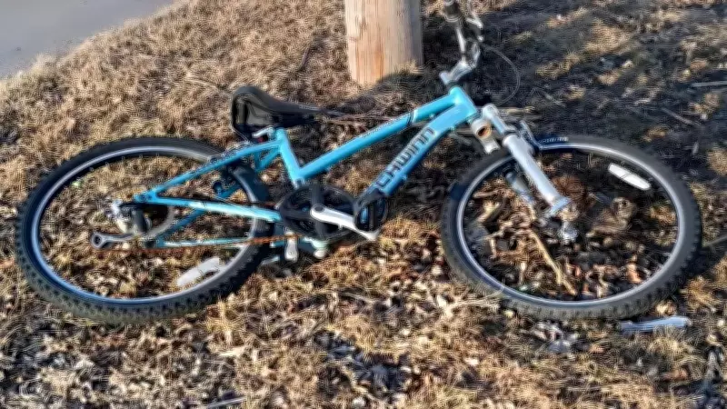 Gizlenmiş Tavşanı 11 Saniyede Bulabilir misiniz? Sadece Keskin Gözler Başarıyor