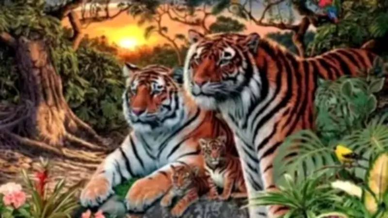 Görenlerin %99'u Yanılıyor! Resimde Kaç Kaplan Var? Test Edin