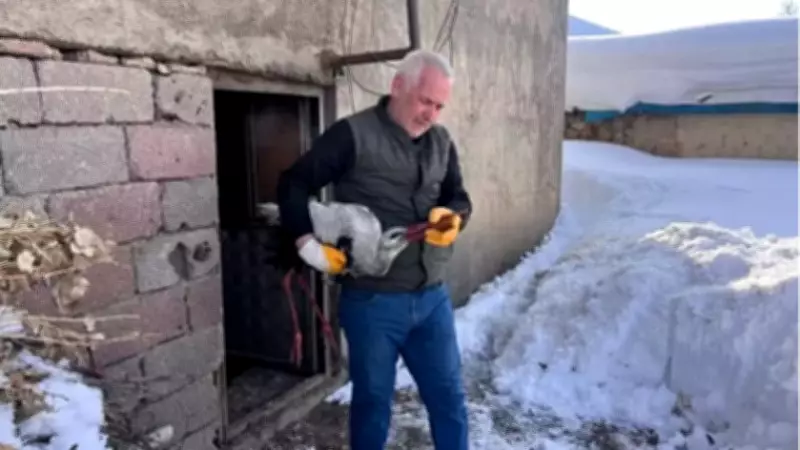 Hakkari'de Donmak Üzereyken Bulunan Leylek, 2.5 Aylık Bakımın Ardından Doğaya Kavuştu