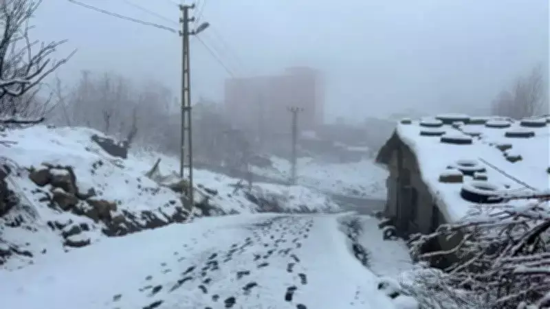 Hakkari'de Kar Yağışı 74 Yerleşim Yerini Ulaşıma Kapattı