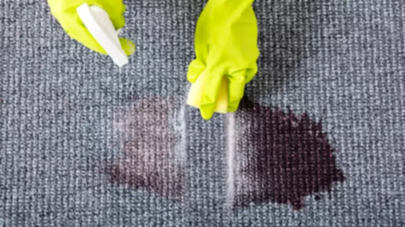 Halı Lekelerini Saniyeler İçinde Yok Eden Mucize Formül: Micellar Su