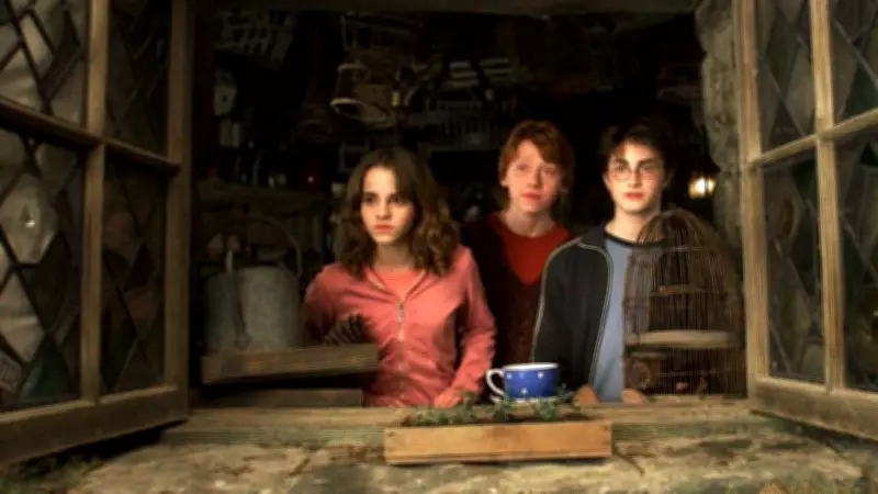 Harry Potter Dizisi Heyecanıyla: Büyülü Evrenlere Götüren En İyi Fantastik Film Önerileri