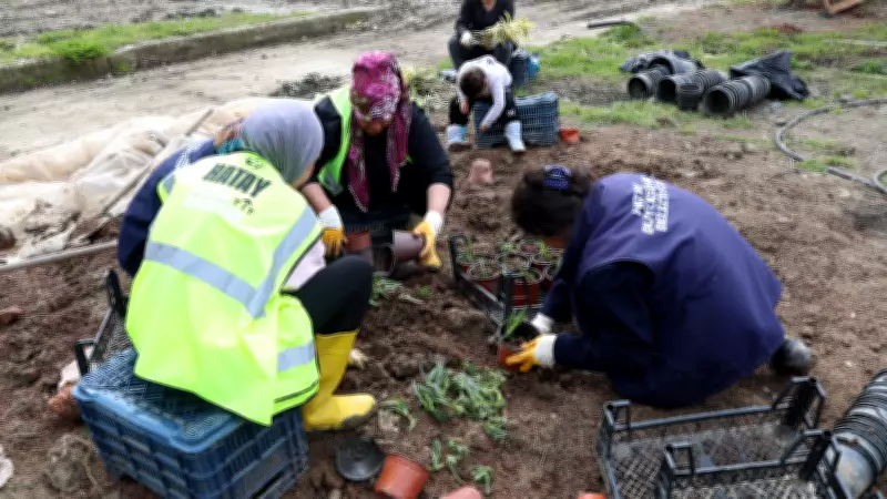 Hatay Büyükşehir Belediyesi Bitki İhtiyacı İçin Üretim Destek Projesi'ni Başlattı