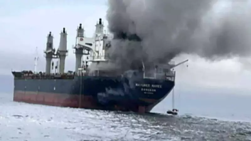 Hürmüz Operasyonu Riskleri Açığa Çıktı: Trump'ın Planı Felakete Yol Açabilir