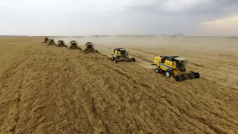 Çiftçi Destek Ödemesi Yattı Mı? Tarih ve Sorgulama Detayları Açıklandı