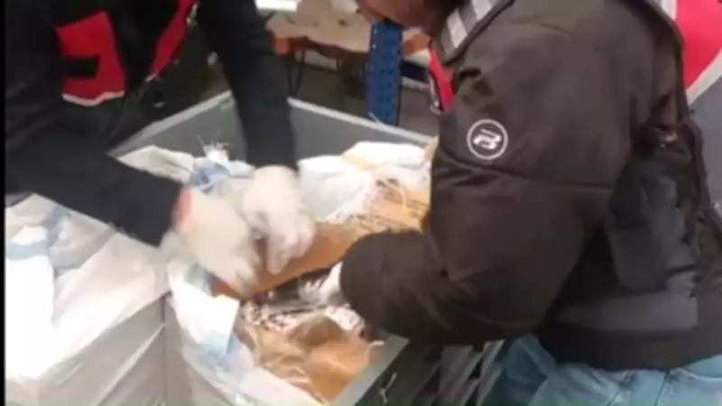 İçişleri Bakanlığı 25 İlde Büyük Uyuşturucu Operasyonu Düzenledi: 3 Milyon Hap Ele Geçirildi