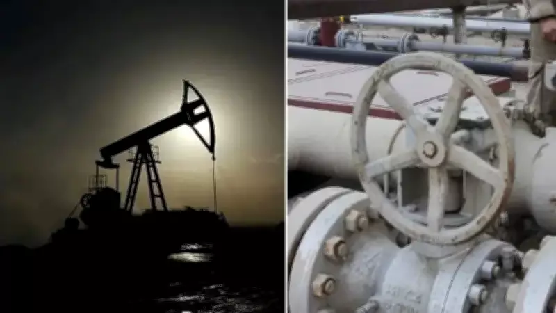 Irak Petrol Bakan Yardımcısı: Savaş Petrol Faaliyetlerini Durdurdu