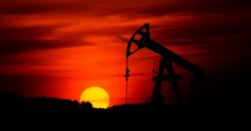 Japonya, Stratejik Petrol Rezervlerini Piyasaya Sürme Kararı Aldı