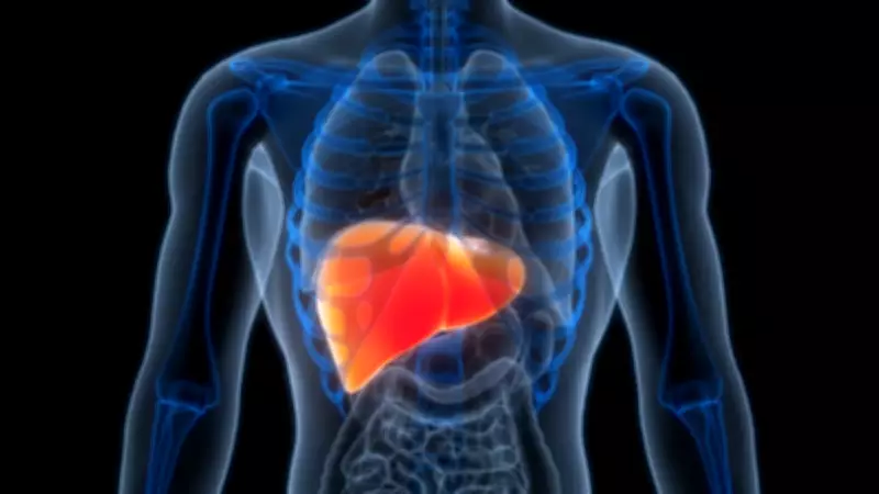 Karaciğer Kanseri Önlenebilir: Uzmanından Kritik Uyarılar ve Korunma Yöntemleri