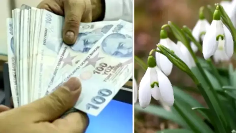 Kardelen Koparana 700 Bin TL'ye Yakın Ceza Geliyor: 2026'da Yürürlükte