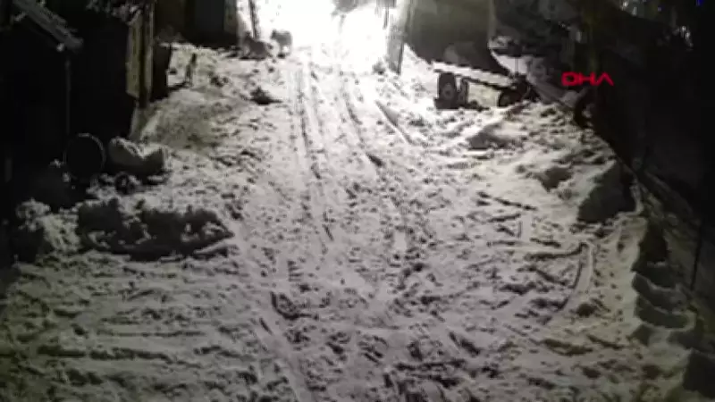 Kars'ta Kurtlar Köye İndi: Güvenlik Kamerasına Yansıyan Saldırıda Köpek Götürüldü
