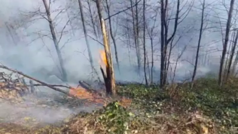 Kastamonu Üniversitesi, Orman Yangını Risk Haritası Oluşturacak
