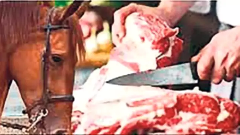 Kavurma ve Köftede Tek Tırnaklı Hayvan Eti Tespit Edildi