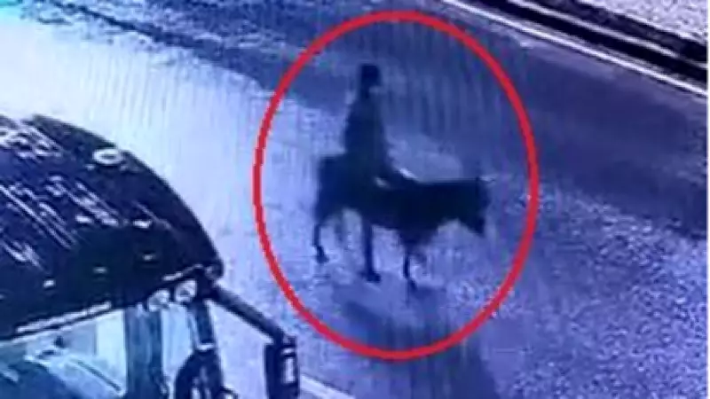 Kayseri'de Forkliftle Kuyumcu Soygunu: Altınları Çalıp Eşekle Kaçan Şüpheliye 16 Yıl İstemi