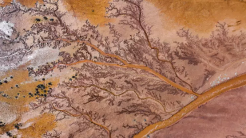 Kayseri'de 'Hayat Ağacı' Oluşumu: Tuzla Palas Gölü'nde Doğanın Muhteşem Sanatı