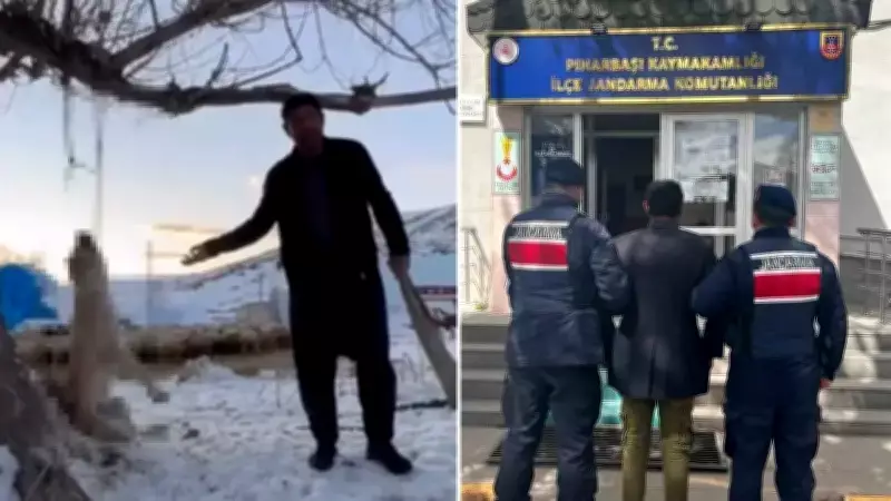 Kayseri'de Köpeği Ağaca Asarak Öldüren Şahıs Gözaltına Alındı