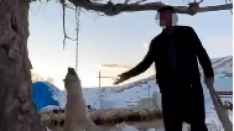 Kayseri'de Vahşet! Çok Yedi Diye Köpeğini Ağaca Asarak Öldürdü