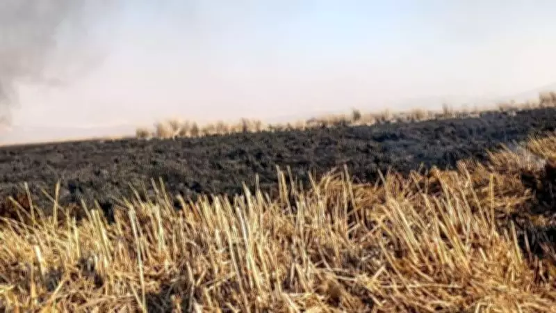 Kayseri'deki Sultan Sazlığı Milli Parkı Yangını 4 Gün Sonra Kontrol Altına Alındı