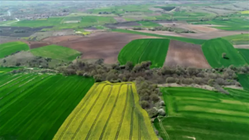 Kentsel Dönüşüm Başkanlığı 42 İlde 390 Arsayı Açık Artırmayla Satışa Çıkarıyor