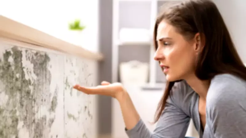 Küf ve Rutubet Sorununa Pratik Çözüm: Avrupa ve Ukrayna'dan Doğal Yöntem