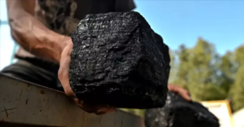 Kömür Fiyatlarındaki Artış Enerji ve Ekonomi Gündemini Meşgul Ediyor