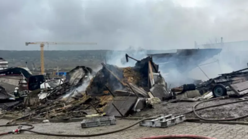 Kocaeli'de Ahır Yangını: 460 Hayvanın Hayatını Kaybettiği Trajedi