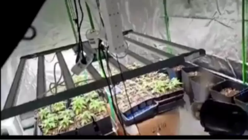 Kocaeli'de Uyuşturucu Operasyonu: 40 Adrese Baskın, 36 Gözaltı