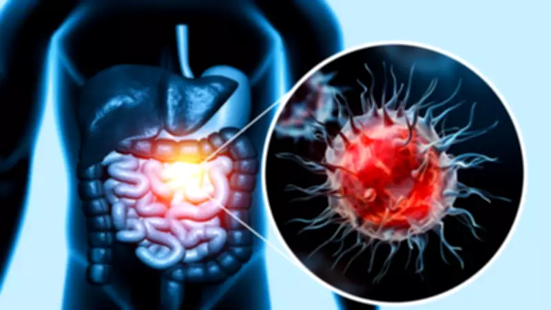Kolon Kanserinin 5 Sinsi Belirtisi: Erken Teşhis Hayat Kurtarıyor