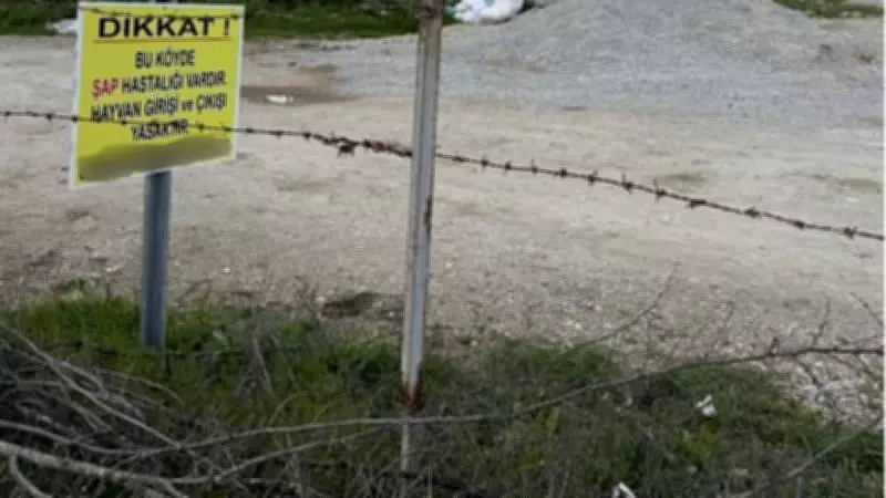 Kütahya'da Şap Hastalığı Alarmı: 15 Köy Karantinaya Alındı