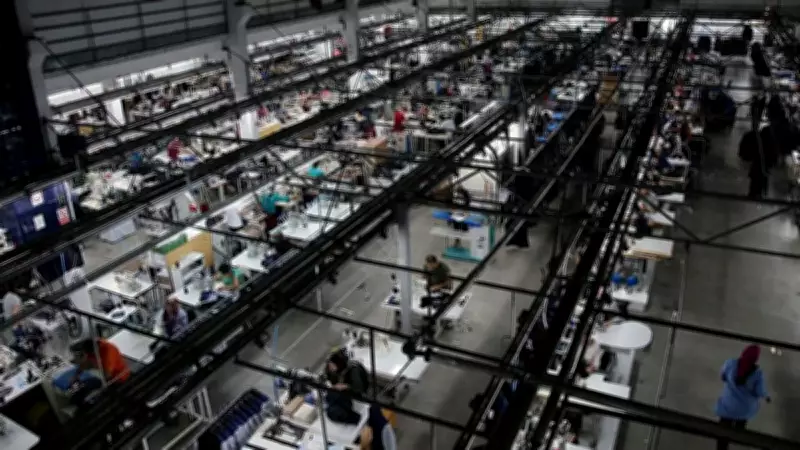 İŞKUR 2025'te 13 Bin 339 Kişiyi Yurt Dışında İş Sahibi Yaptı