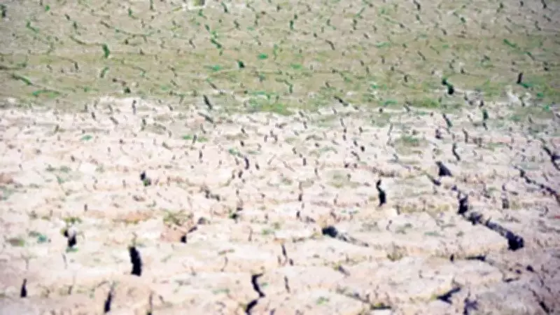 Kuraklık, Topraktaki Antibiyotik Direncini Tetikliyor