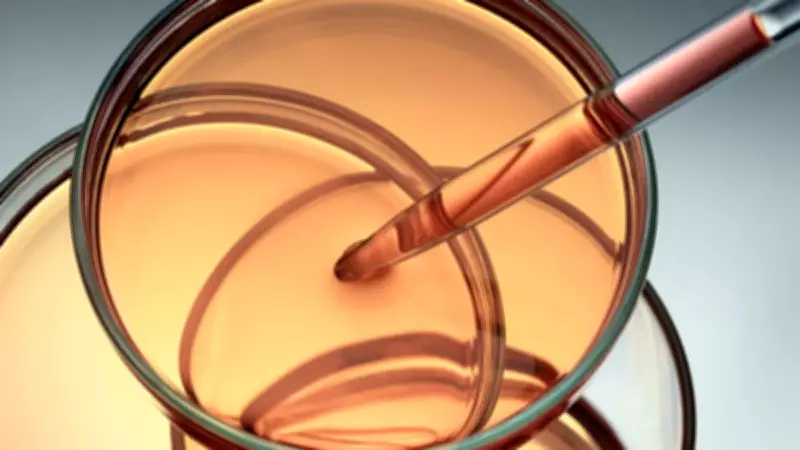 Laboratuvarda Şans Eseri Başlayan Serüven: Kimyanın Yeni 'Altın Anahtarı' Bulundu