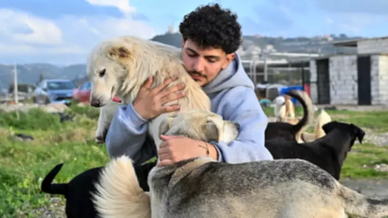 Lübnanlı Genç, İsrail Saldırıları Altındaki Bölgede Hayvanları Kurtarıyor