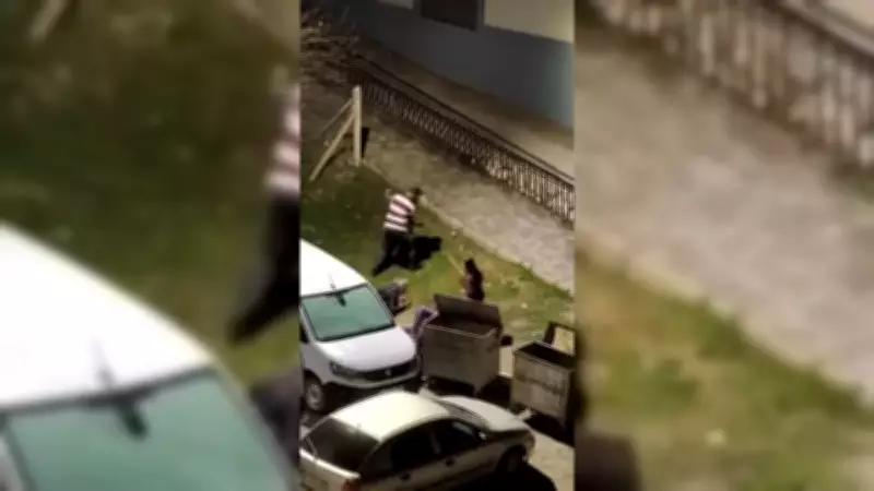Malatya'da Eski Eş Tartışması Sopaya Dönüştü, Komşular Saldırdı!