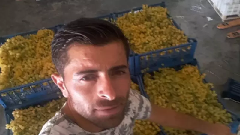 Manisa'da Boş Arazide Erkek Cesedi Bulundu: Mehmet Ali Aslan'ın Ölüm Nedeni Araştırılıyor