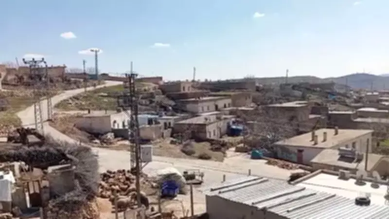 Mardin'de İnekte Kuduz Şüphesi: Mahalle Karantinaya Alındı