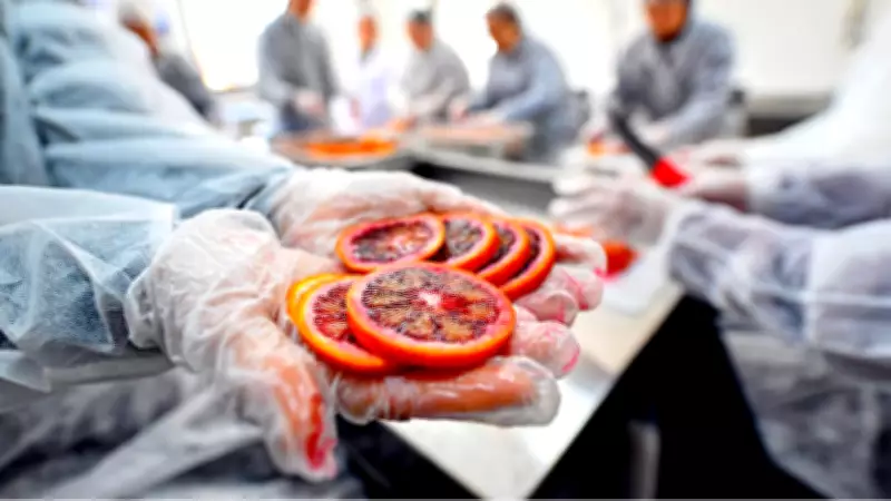 Mersin'de Kadınlar İçin 'Kan Portakalı' Atölyesi Başladı