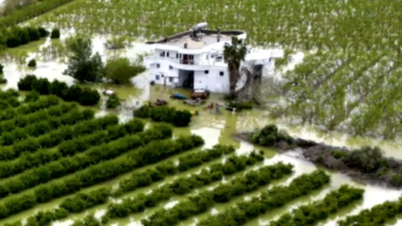 Mersin'de Sağanak Tarım Arazilerini Vurdu: Çiftçiler Yardım Bekliyor