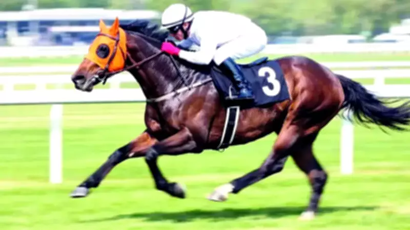 Mersin'deki Aşevi Skandalı: Kavurmada Yarış Atlarından Kısrak Eti Çıktı