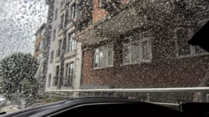 Meteoroloji'den 4 Kritik Uyarı: Çamur Yağışı, Fırtına ve Çığ Tehlikesi