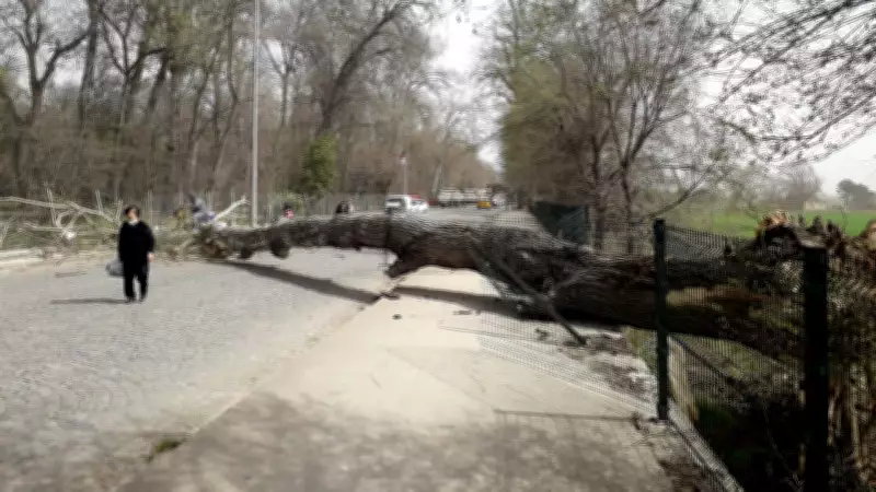 Meteoroloji'den Kritik Uyarı: Marmara'nın Batısı İçin Fırtına Bekleniyor