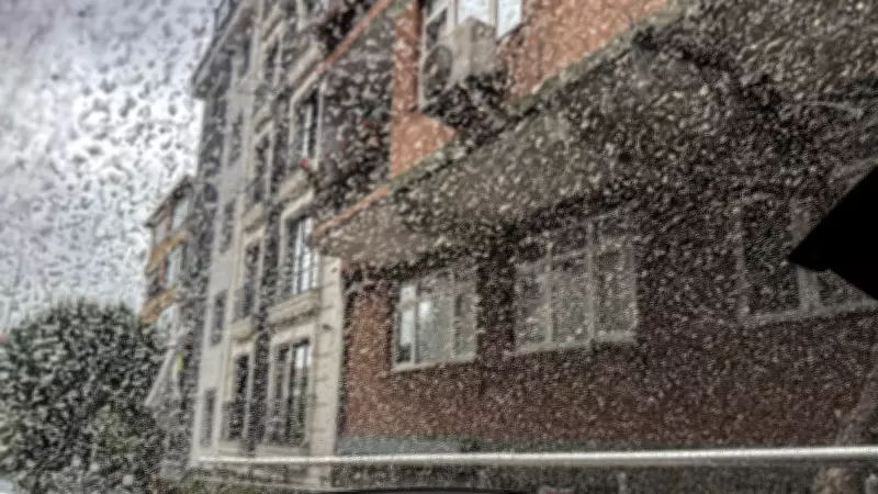 Meteoroloji'den Kritik Uyarılar: Yağmur, Toz ve Çığ Tehlikesi Devam Ediyor