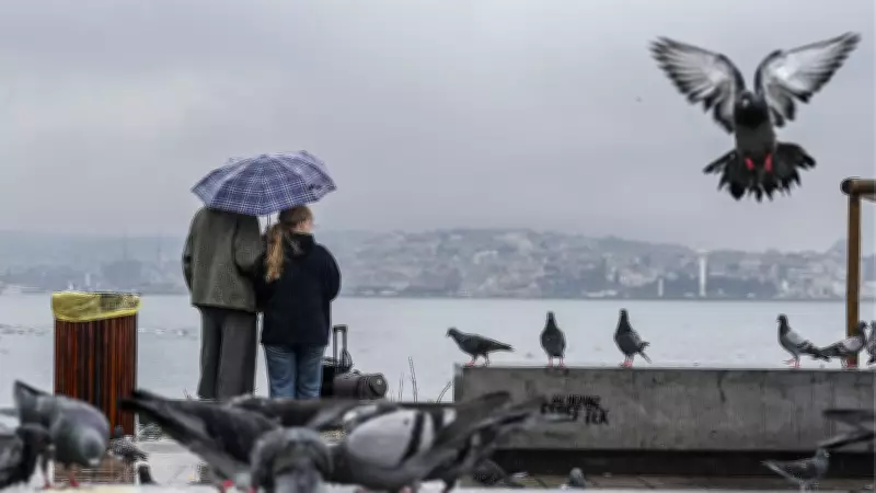 Meteoroloji'den Sağanak Yağmur ve Çığ Uyarısı: 31 Mart Hava Durumu Tahminleri