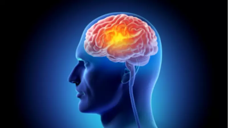 MIND Diyeti Beyin Yaşlanmasını Yavaşlatıyor: Yeni Araştırma Sonuçları Açıklandı