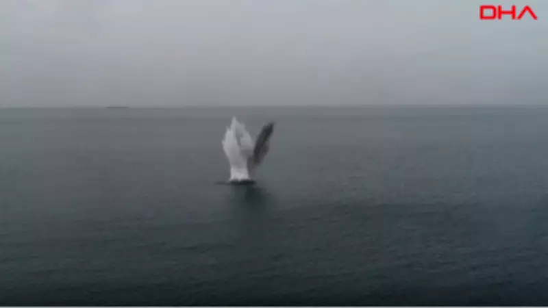 MSB: Karadeniz'de 275 Şüpheli Cisim İmha Edildi, 10'u Mayın, 19'u Kamikaze Drone